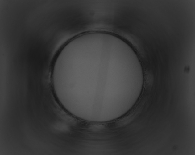 X0000091851462200710031010