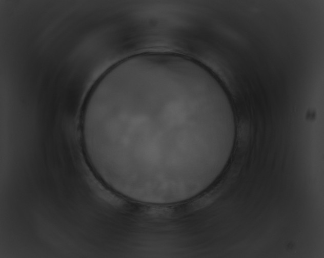 X0000091851466200710031010