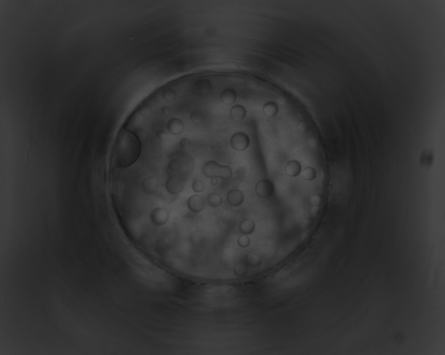 X0000091851467200710031010