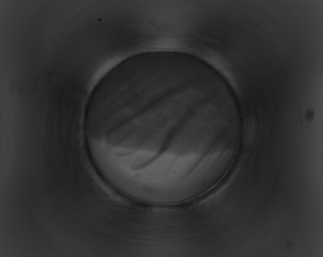 X0000091851469200710031010