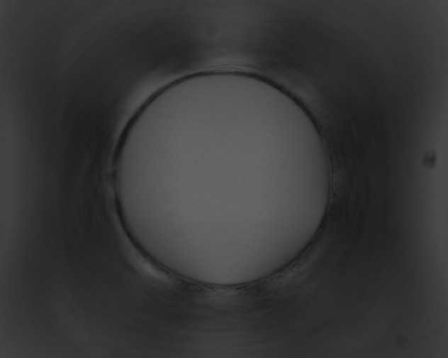 X0000091851470200710031010