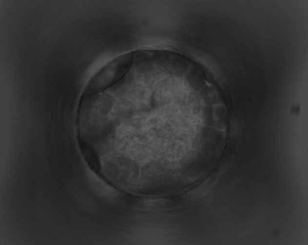 X0000091851471200710031010