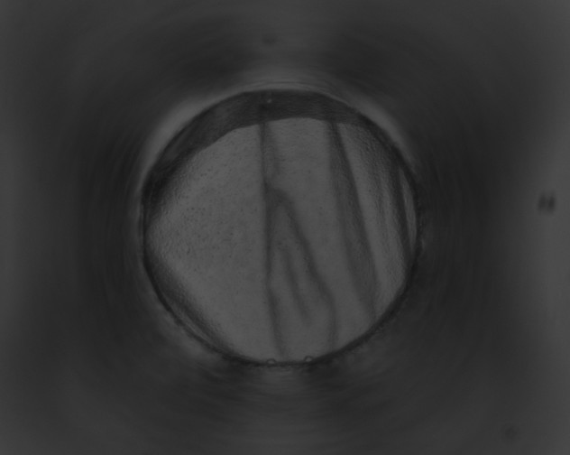 X0000091851472200710031010