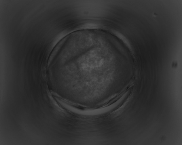 X0000091851473200710031010