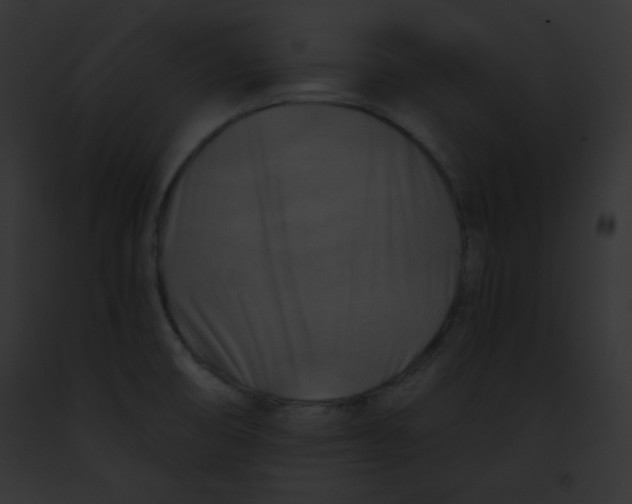 X0000091851474200710031010