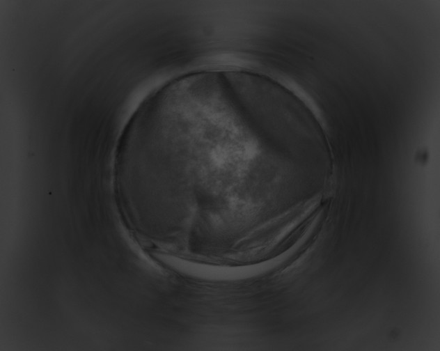 X0000091851477200710031010