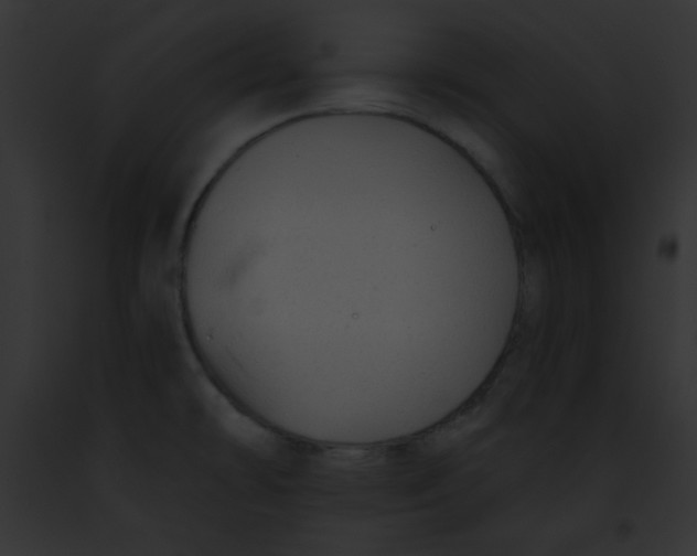 X0000091851478200710031010