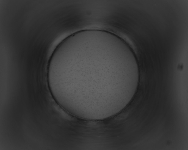 X0000091851480200710031010