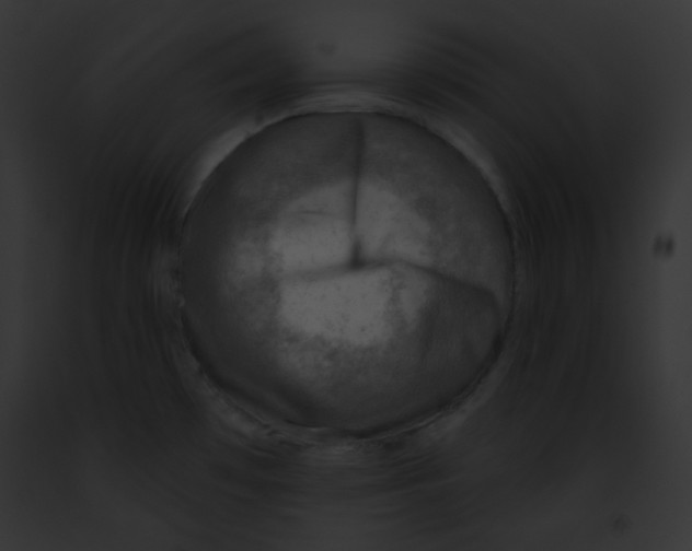 X0000091851481200710031010