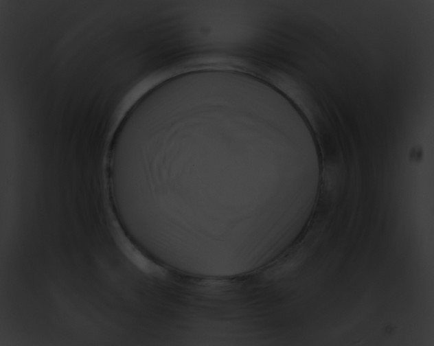 X0000091851482200710031010