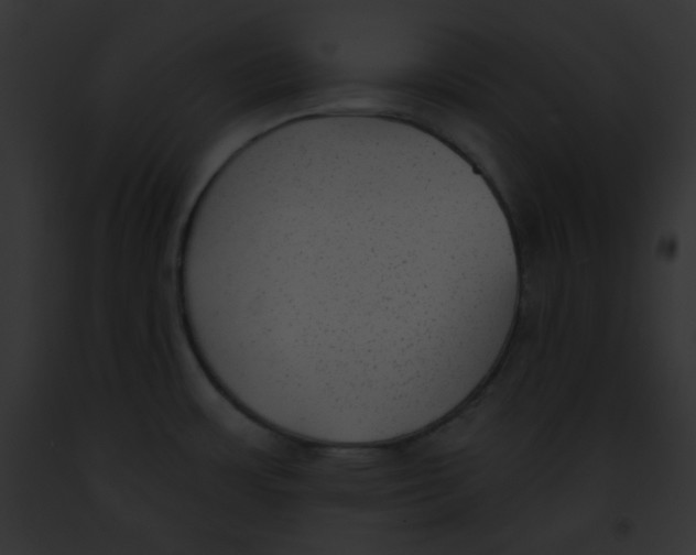 X0000091851483200710031010