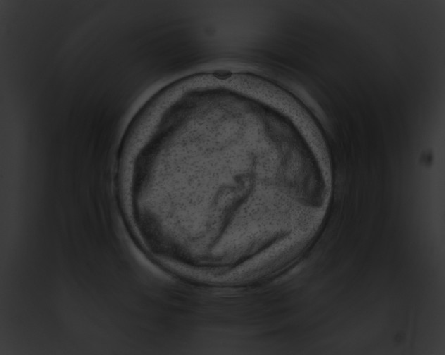 X0000091851484200710031010