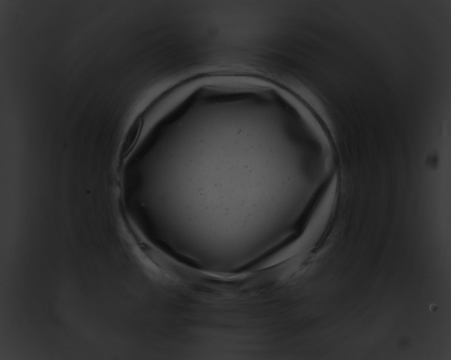 X0000091851485200710031010