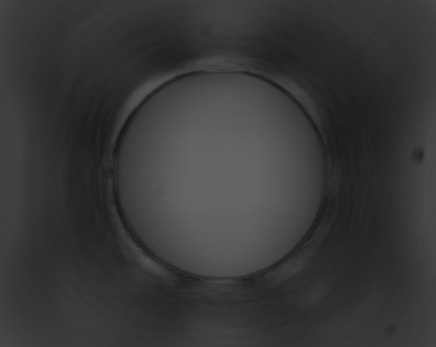 X0000091851486200710031010