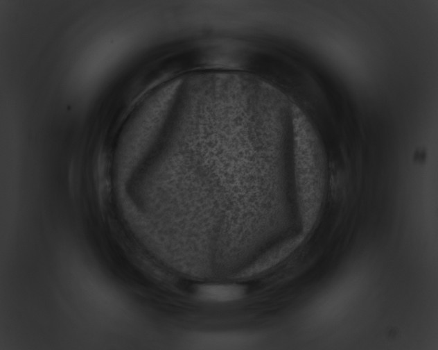 X0000091851487200710031010