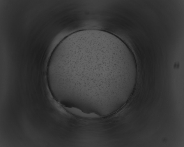 X0000091851488200710031010