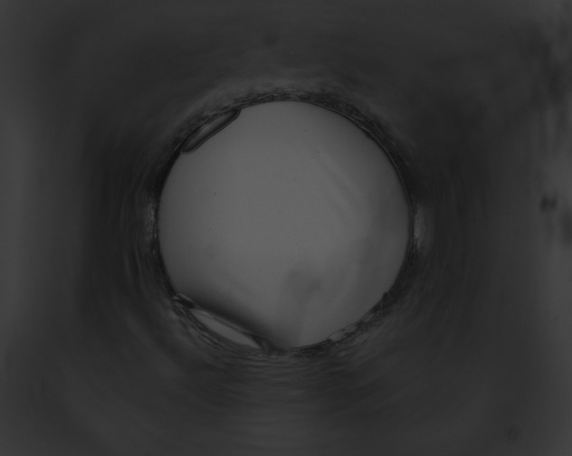 X0000091851492200710031009