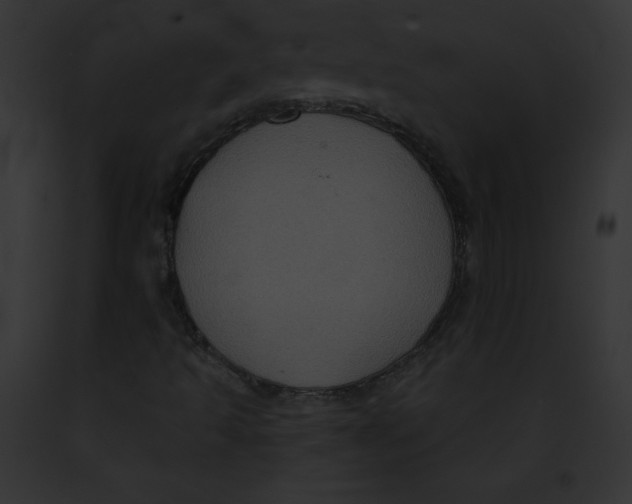 X0000091851493200710031009