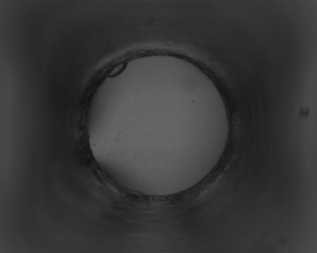 X0000091851494200710031009