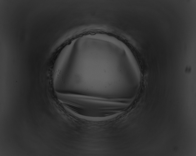 X0000091851496200710031009