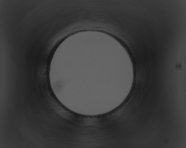 X0000091851498200710031009