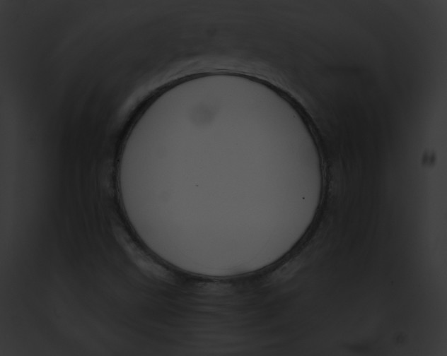 X0000091851499200710031009