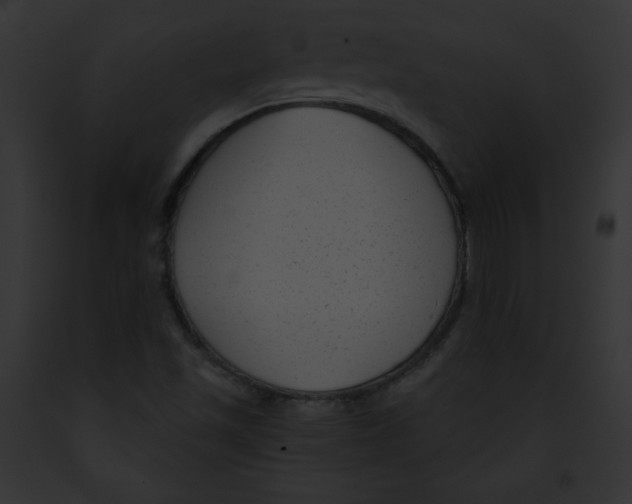 X0000091851501200710031009