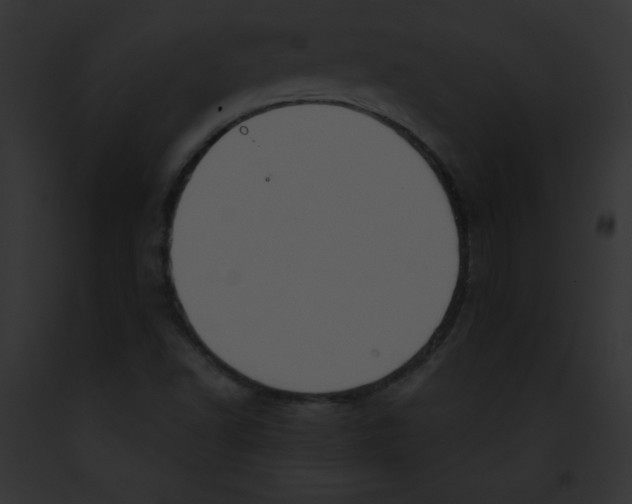 X0000091851502200710031009