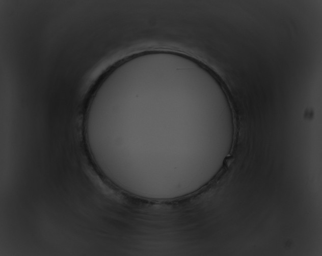 X0000091851503200710031009