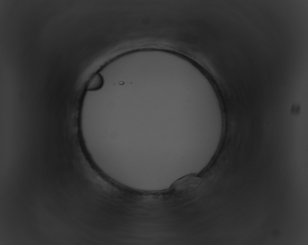X0000091851504200710031009