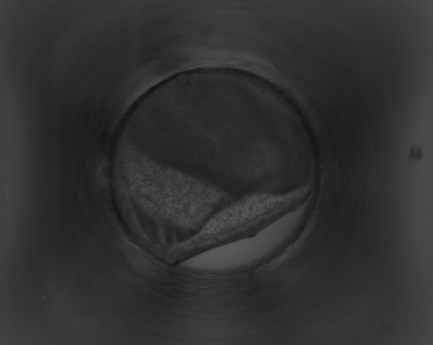 X0000091851505200710031009