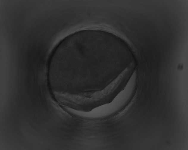 X0000091851506200710031009