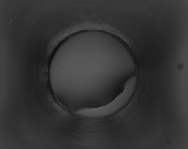 X0000091851507200710031009