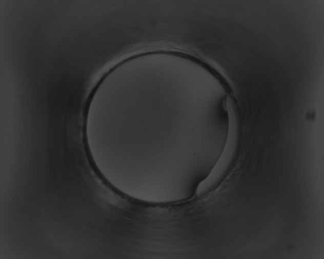 X0000091851508200710031009