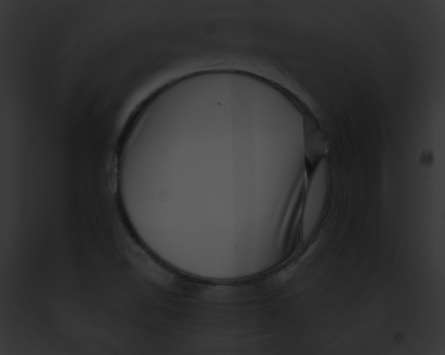 X0000091851510200710031009
