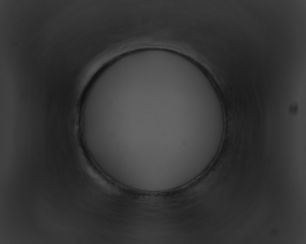 X0000091851511200710031009