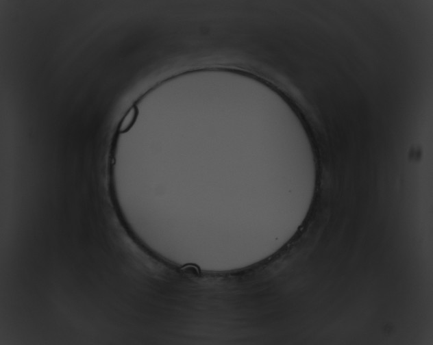 X0000091851512200710031009