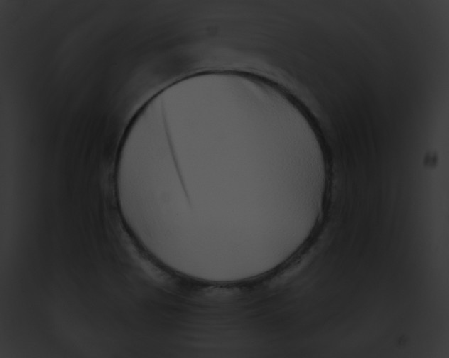 X0000091851513200710031009