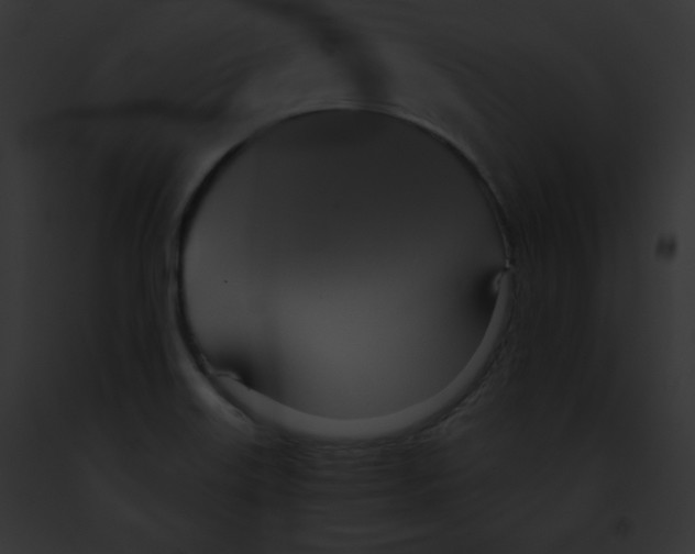 X0000091851515200710031009