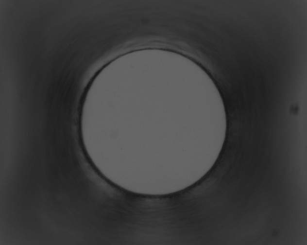 X0000091851518200710031009