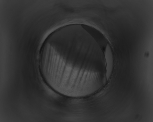 X0000091851519200710031009