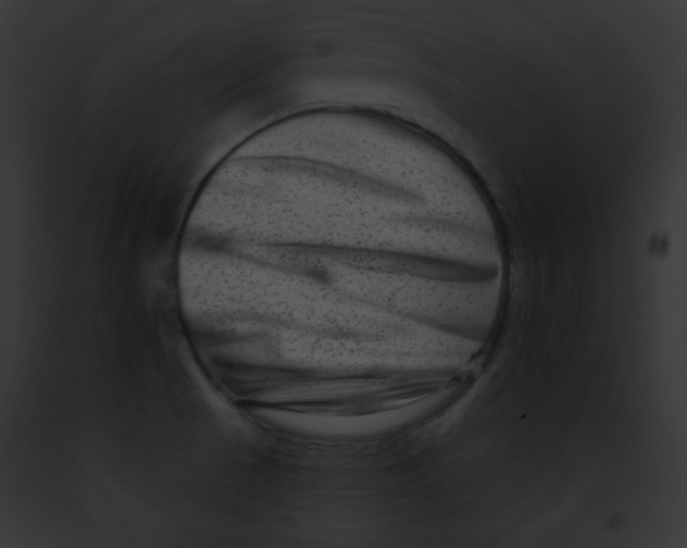 X0000091851521200710031009
