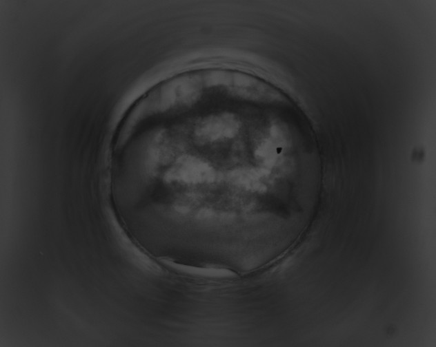 X0000091851522200710031009