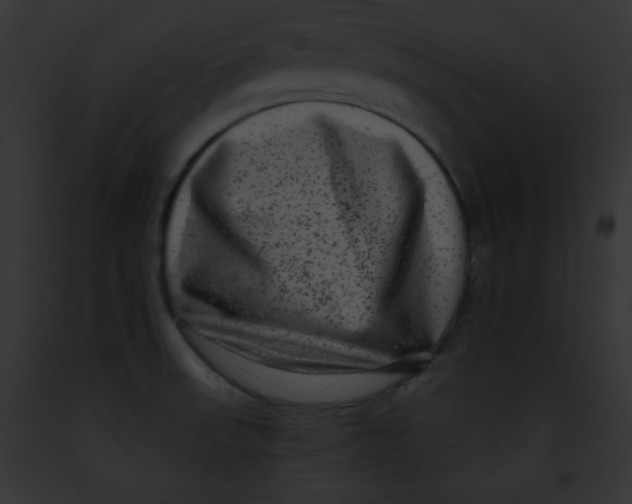X0000091851523200710031009