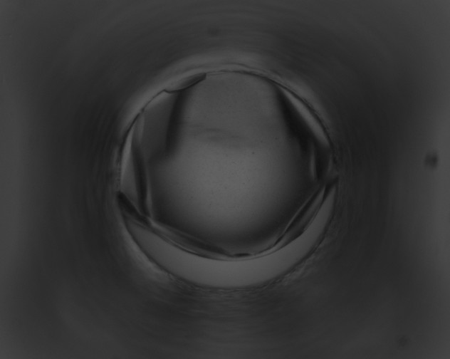 X0000091851524200710031009