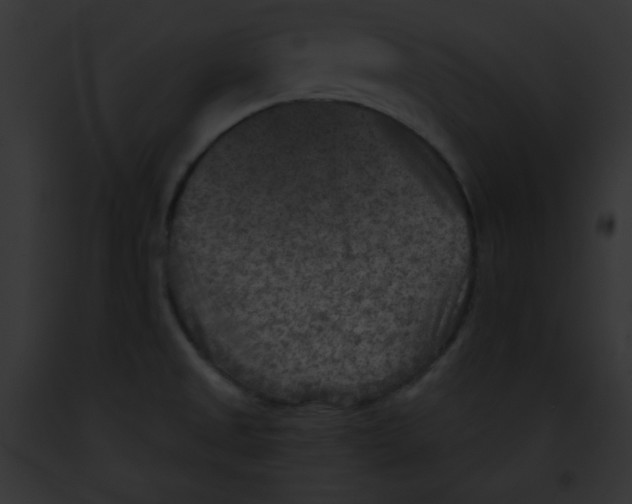 X0000091851525200710031010