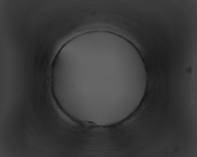 X0000091851526200710031010
