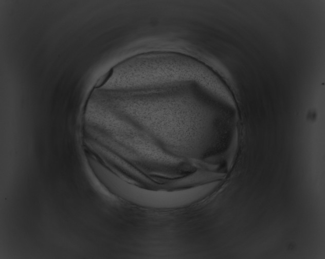 X0000091851528200710031010