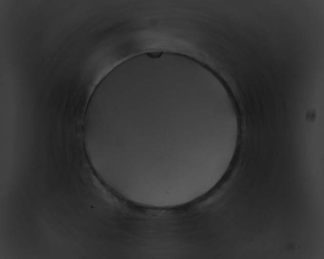 X0000091851529200710031010