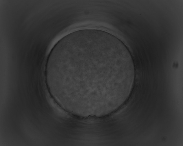 X0000091851530200710031010